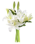 KaBloom Pure Love Bouquet of Fresh White Lilies without vase.