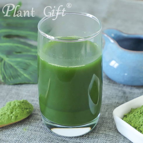Plant Gift 100g/3.52oz 100% Spinach Powder - Green Powder for Juice, Smoothies, Soups, Baked Dishes, and Recipes, Pure
