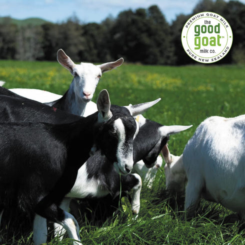 The Good Goat Milk Company 14oz New Zealand Full Cream Goat Milk Powder (Natural)
