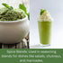 100% 227 0.5 LBS Natural Mint Leaves Powder for Skin and Health Care GMS /