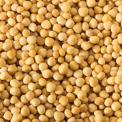 (Pack 2) McCormick Yellow Mustard Seed