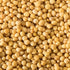 (Pack 2) McCormick Yellow Mustard Seed