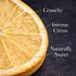4oz (2025 FD Pantry Freeze Dried Orange Slices, Slices) USA-Grown Oranges, Crunchy Citrus for Cocktails, Tea, Baking