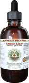Lemon Balm Alcohol-Free Liquid Extract, Dried Leaf Glycerite, Hawaii Pharm, 2 oz