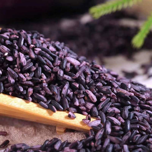 MIHUNTANG 17.63oz Purple Rice New Rice in the season brown Purple glutinous rice Coarse Cereals