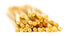 Mancini Pastificio Agricolo (500 (17.6 Pasta Mancini Bucatini Gram Ounce))