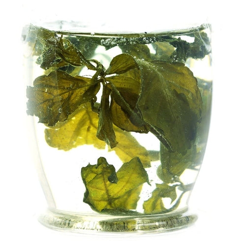 GOARTEA Premium Seven Leaf Jiaogulan Gynostemma Chinese Herbal GREEN TEA, 250g / 8.8oz Loose Leaf