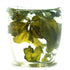 GOARTEA Premium Seven Leaf Jiaogulan Gynostemma Chinese Herbal GREEN TEA, 250g / 8.8oz Loose Leaf