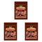 LEM Products Backwoods Dill Pickle Jerky Seasoning, Ideal for Wild Game and