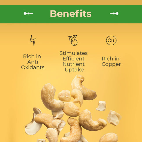 Bulk,2 (LB) Sincerely Nuts - Raw Cashews Pieces Unsalted | Healthy Snack, Source of Protein | Keto and Paleo Friendly