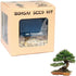 Eve's Garden, Inc Eve's Black Pine Bonsai Seed Kit, Woody, Complete Kit to Grow Black
