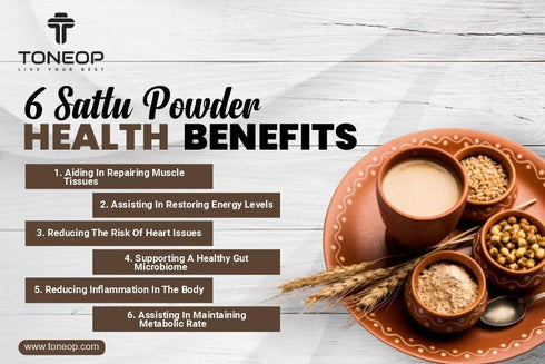 Generic (500gram) Jau sattu |Barley | Sattu Flour |Sattu dink water| Barley Sattu Drink (Jo ka aata) jao sattu