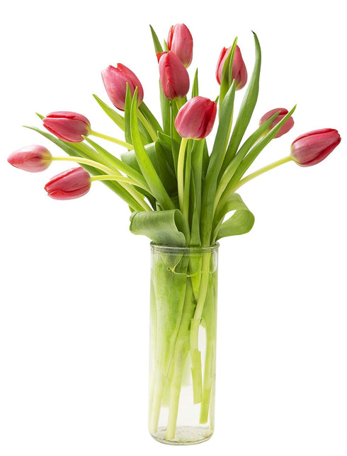 KaBloom - Bouquet of 10 Red Tulips with Vase - Fresh Flowers