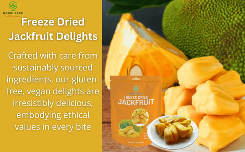 1.76 Oz NOKKI FARM Freeze Dried Jackfruit - Healthy & Exotic Tropical Superfood Snacks, No Added Sugar