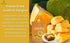 1.76 Oz NOKKI FARM Freeze Dried Jackfruit - Healthy & Exotic Tropical Superfood Snacks, No Added Sugar