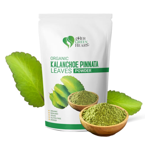 Generic Kalanchoe Pinnata Leaves Powder Herbal Tea - 100% Pure, Organic Ground Powder