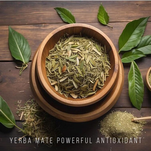 (4 Pack) Yerba Mate Tea Plant | Real Live Plant for Sale | Perfect for Tea Lovers | Hardy and Easy to Grow for Planting