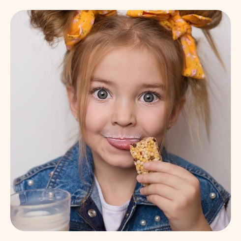 Wellsley Farms 110 60 Count (Pack 1) Chewy Chocolate Chip Granola Bars - No High-Fructose Corn Syrup - Vegetarian