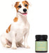 500g/17.6oz Immune, 400+ Manuka Honey for Dogs Premium New Zealand Dog Food Topper & Natural Treat | Raw Honey for Dogs