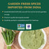 SPICE TRAIN Lemongrass Powder, 226g/8oz Non-GMO, Gluten Free for Cooking, Smoothies, Tea