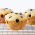 50% 12.35 (Pack 1) Miss Jones Baking Gluten-Free Blueberry Muffin & Bread Mix - Lower Sugar, Real Blueberries
