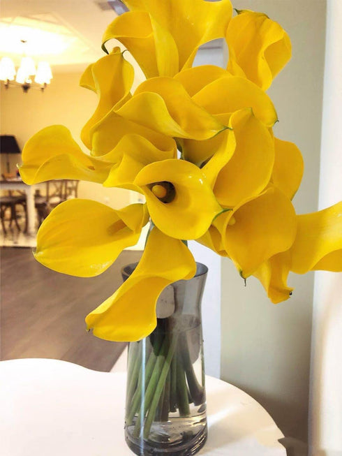 Cassiolina 10 Stems Fresh Calla Lily Flowers Elegant Long Stem Flower Bouquet for Vase Home Decor Wedding Party Floral