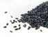 Packed 2 (Pack 1) ROM AMERICA Black Rice for Asian Cooking | Korean Purple Rice Whole Grain Medium Grain - Healthy