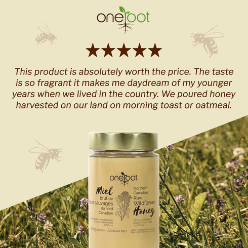 100% 1.1 lbs, Oneroot Canadian Wildflower Honey - Unheated & Creamed - Nutrient-Rich, Natural Sweetener with Enzymes