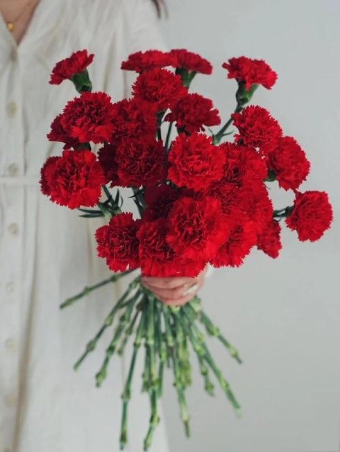 38 Red Carnation Flowers Hydroponic Flower Arrangement Mothers Day Gift Home Decor Birthday Anniversary Healing