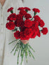 38 Red Carnation Flowers Hydroponic Flower Arrangement Mothers Day Gift Home Decor Birthday Anniversary Healing