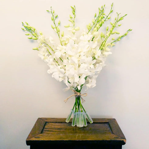 10 Athenas Garden Fresh Cut Orchids Stems Dendrobium White Orchids Fresh Flowers