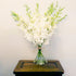 10 Athenas Garden Fresh Cut Orchids Stems Dendrobium White Orchids Fresh Flowers