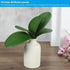 DPWOUM 1 8 InchOrchid piece Green Faux Orchid Leaves Leaves Leaves Real Touch Phalaenopsis Stems Faux Cymbidium Flower