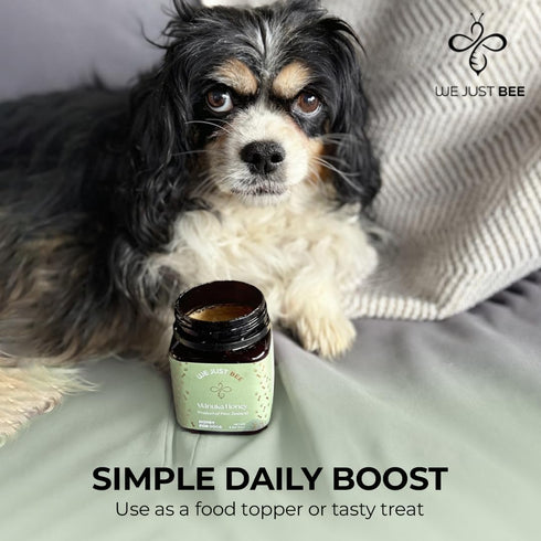 250g/8.8oz Immune, 400+ Manuka Honey for Dogs Premium New Zealand Dog Food Topper & Natural Treat | Raw Honey for Dogs