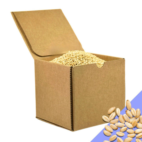 5.5 LB 9% PlainGrains. The Natural Way | Dry Soft White Wheat Berries | Protein by Volume | Uncooked, Unground, Whole