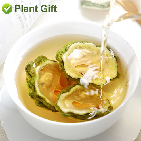 Linn.16oz Greenlike Bitter Melon FruitKu Gua GanFruit of Momordica charantia