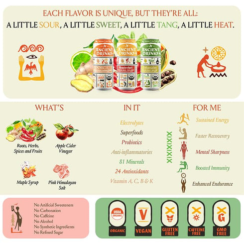 Pack 16 oz 12 Pack ANCIENT DRINKS Apple Cider Vinegar Electrolyte Drink with Probiotics Organic Hydration Beverage