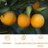Noble Createaprototype (500g/17.63oz) Dried Orange Slices, Low temperature drying Handmade Fruit Tea, Edible Edible