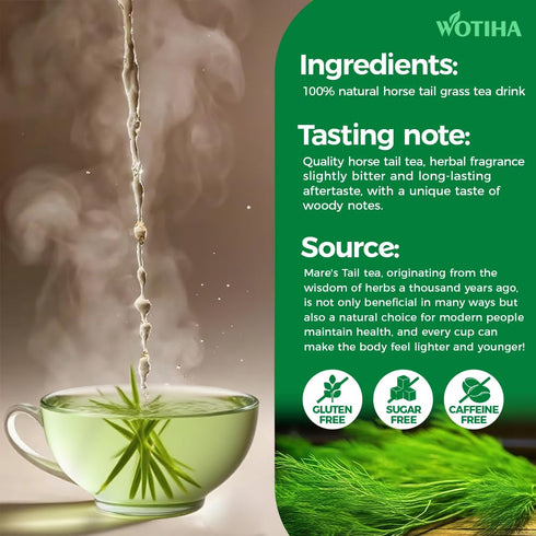 WOTIHA Horsetail 19.2oz Dried Herb - Natural Silica for Hair, Skin & Nails Support - Cola de Caballo Tea - Cut & Sifted