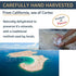 16 oz 90+ 30% All Goods Products Mineral Coarse Grain Sea Salt, Natural Salt from Mexico, Unrefined, Hand-Harvested