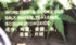 Asian Taste 12.7 Oz Presserved Duck Eggs