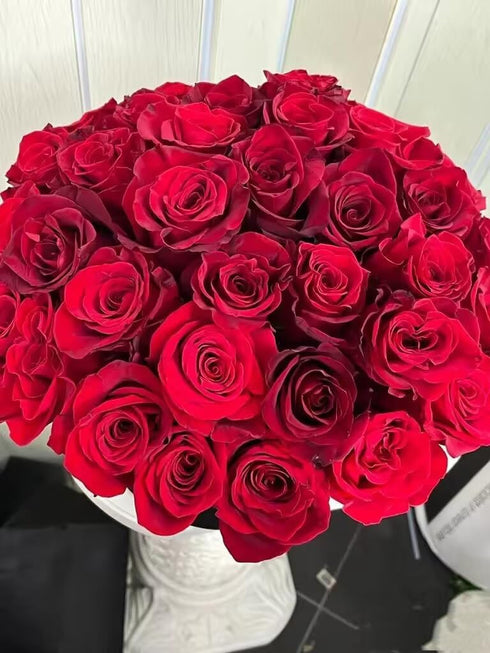 Cassiolina (24) Fresh Cut Freedom Red Roses Bouquet, Premium Long Stem Red Roses, Fresh Cut Roses for Valentines Day