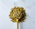 (1.3 oz) Savory Spice Cantanzaro Herbs - Salt-Free Italian Herb Seasoning with Lemon & Garlic - All-Purpose Italian