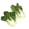 University Gifts One pound Bok Choy Sum