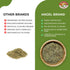 0.75 oz Angel Brand Rosemary Leaves Bottle Dried Rosemary Herb for Cooking, Seasoning, and Aromatic Infusions.
