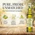Venta del Barn 16.9 oz (500ml) - Voted The World's Best Olive Oil - Extra Virgin Cold Pressed - High in Polyphenols
