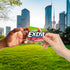 EXTRA Watermelon Sugar Free Chewing Gum, 15 ct, 3 Pack