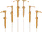 Gold Coffee Syrup Pump for 750 ml Bottles (Pack of 6), Fits Upouria, Torani, DaVinci, Monin