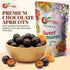 2 NY Spice Shop Dark Chocolate Apricots - Pound Bulk Sweet & Crunchy Chocolate Snack - Chocolates Apricot Treats