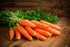 32oz, 2 Pack, 40 Foster's Pickled Carrots in a Jar, Original, Traditional Pickled Carrot Sticks Recipe for over years